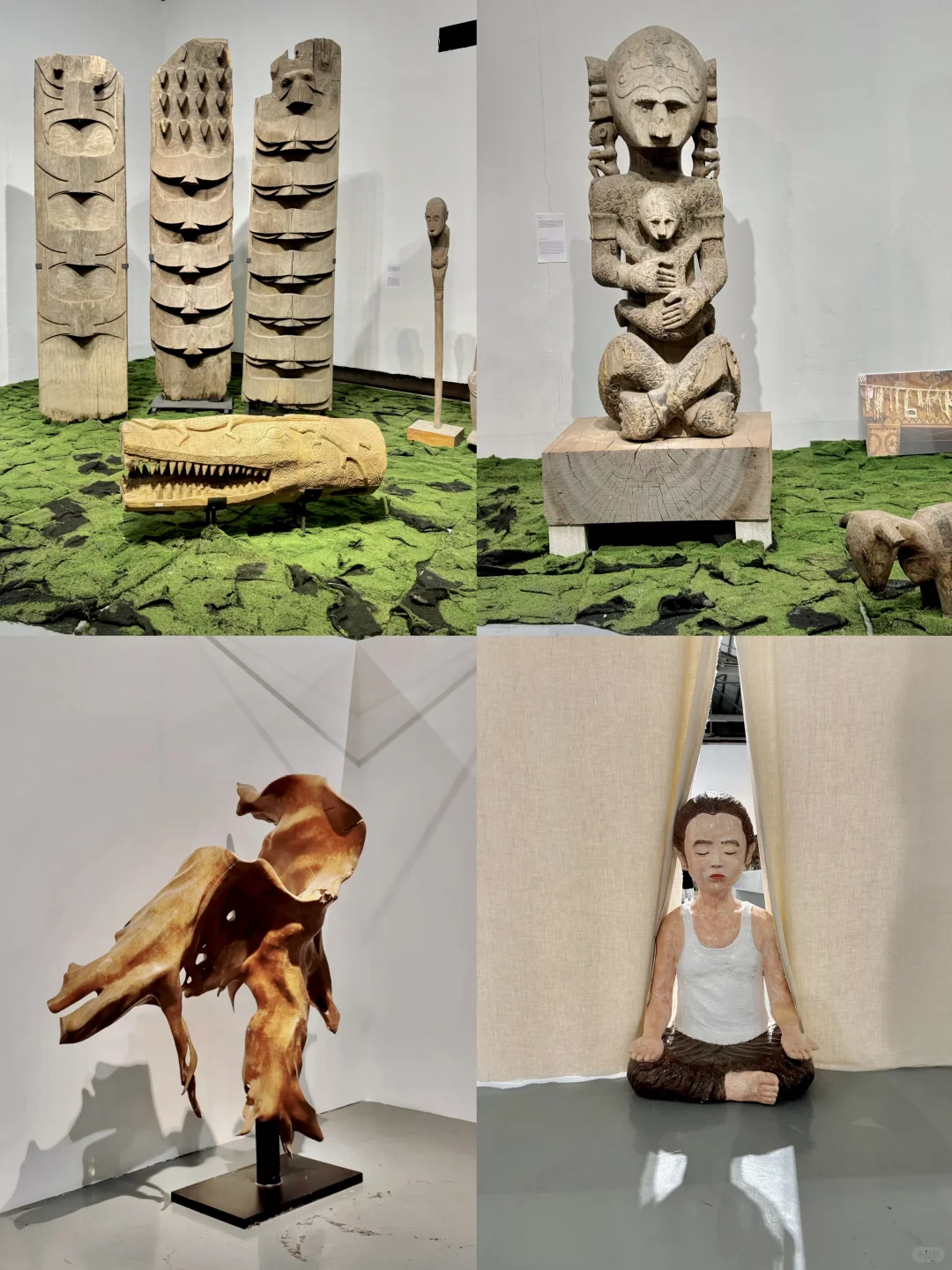 深圳看展|感受热带雨林的神秘魅力