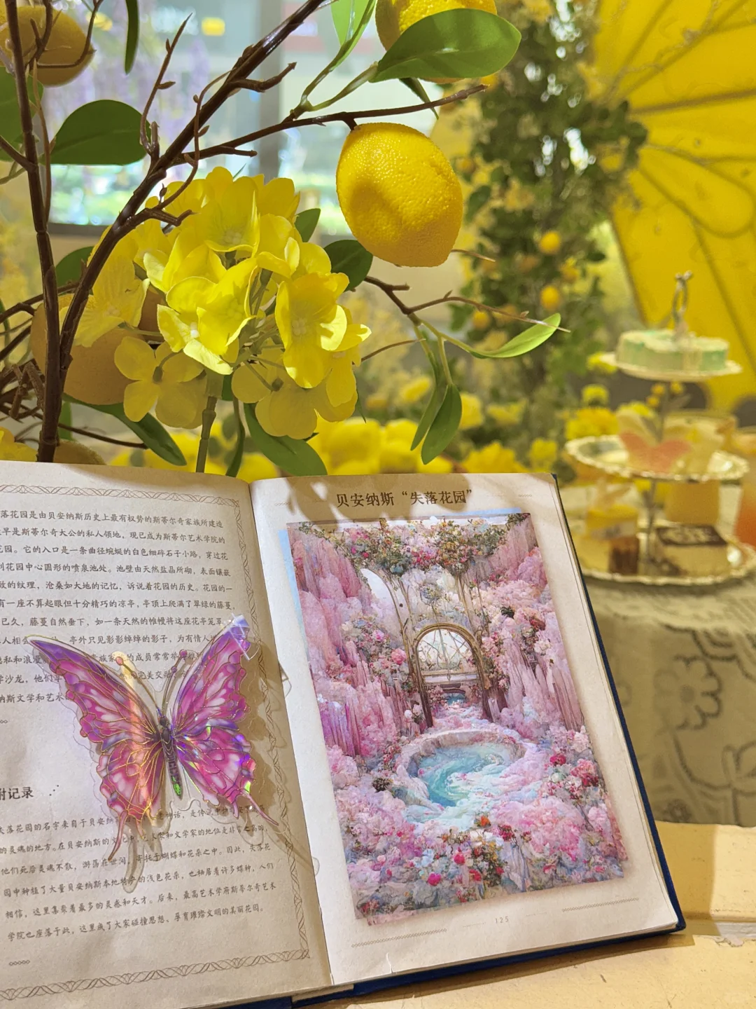 苏州夏日新展?美疯了！！！！！！！！！！！