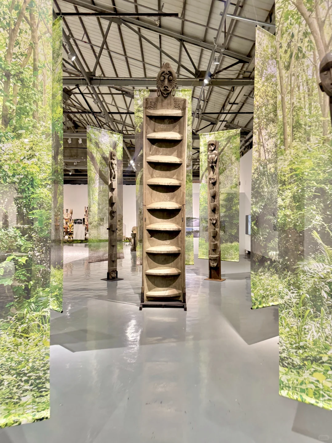 深圳看展|感受热带雨林的神秘魅力