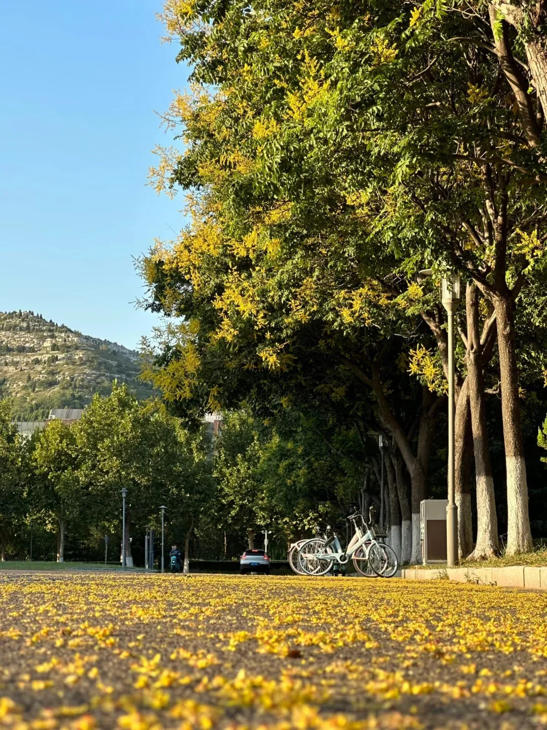 我在山东师范大学干什么呢