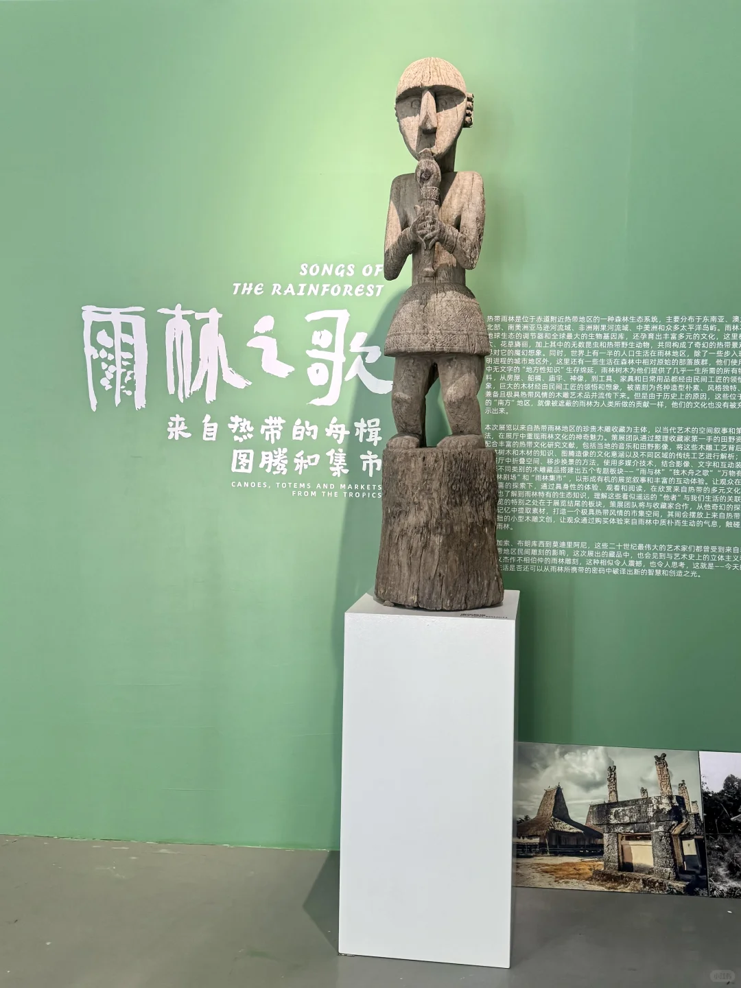 深圳看展|感受热带雨林的神秘魅力