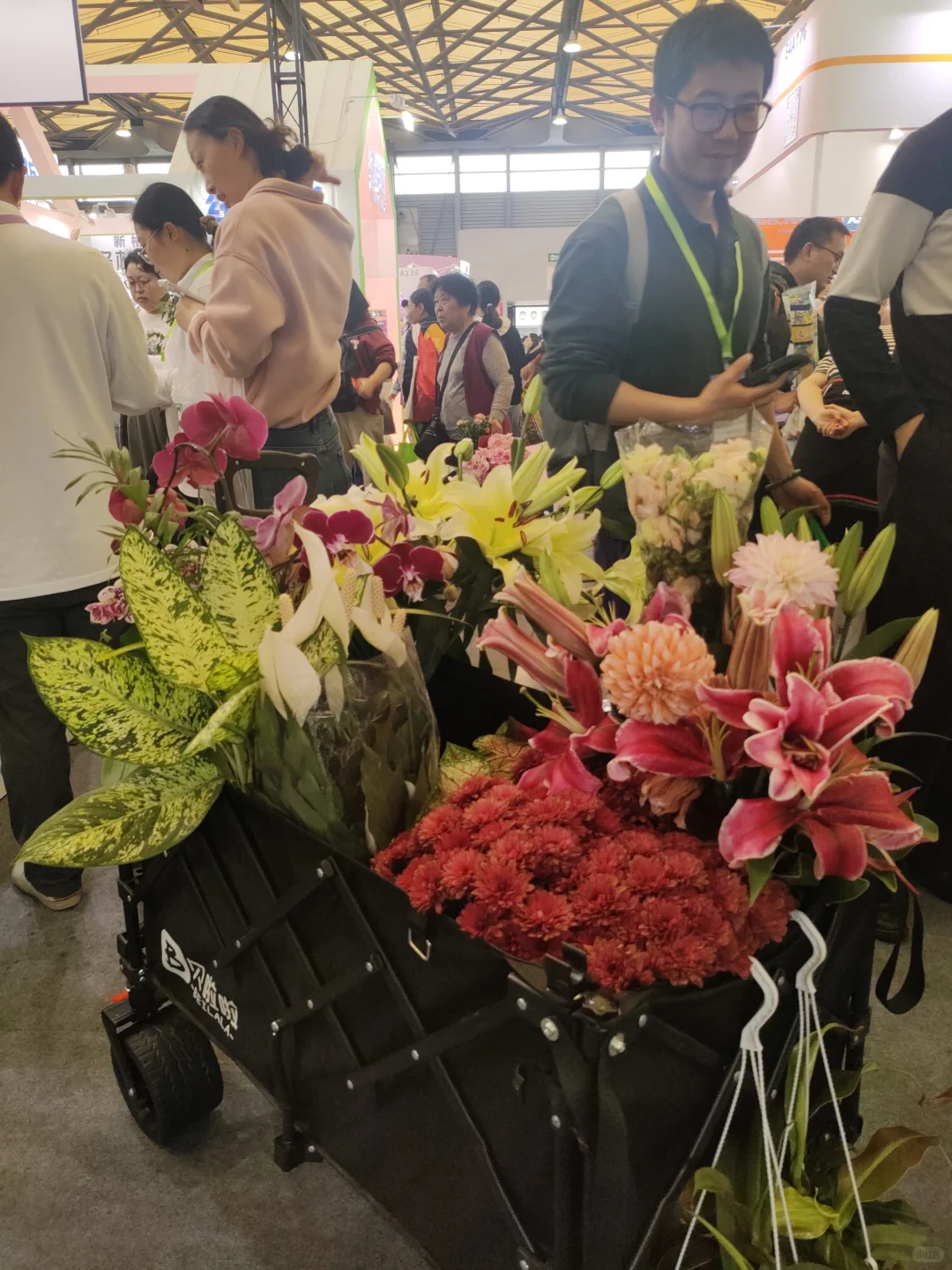 2025中国国际花卉园艺博览会回顾