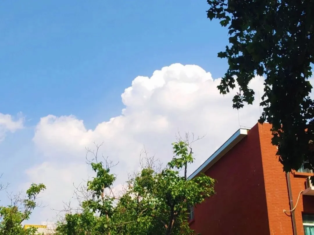 我在山东师范大学干什么呢
