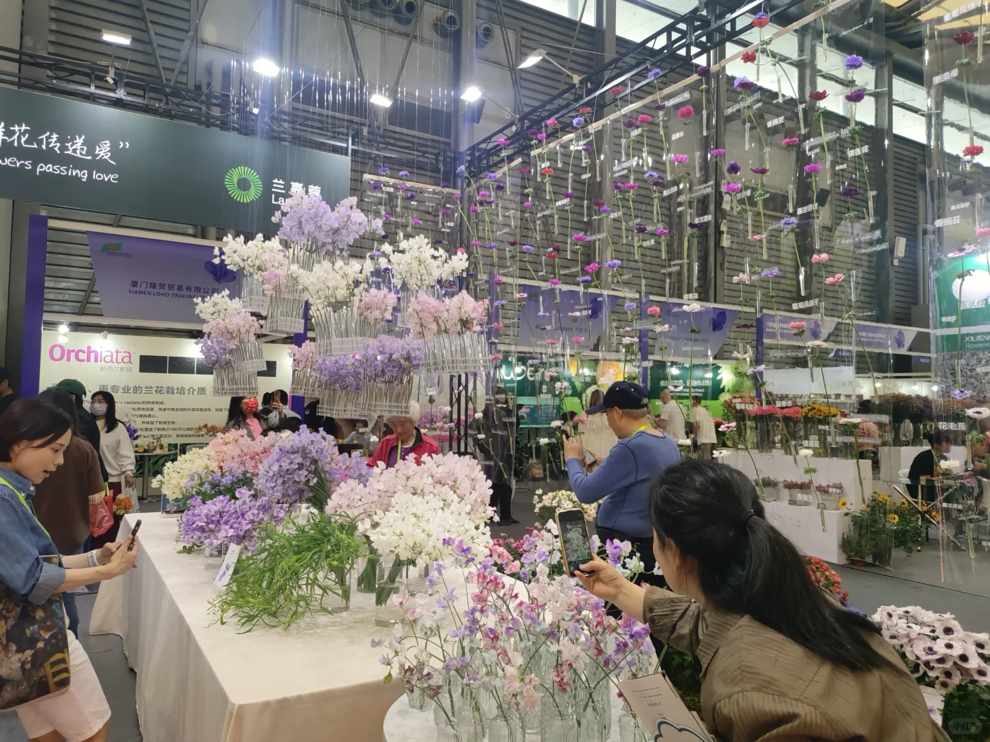 2025中国国际花卉园艺博览会回顾