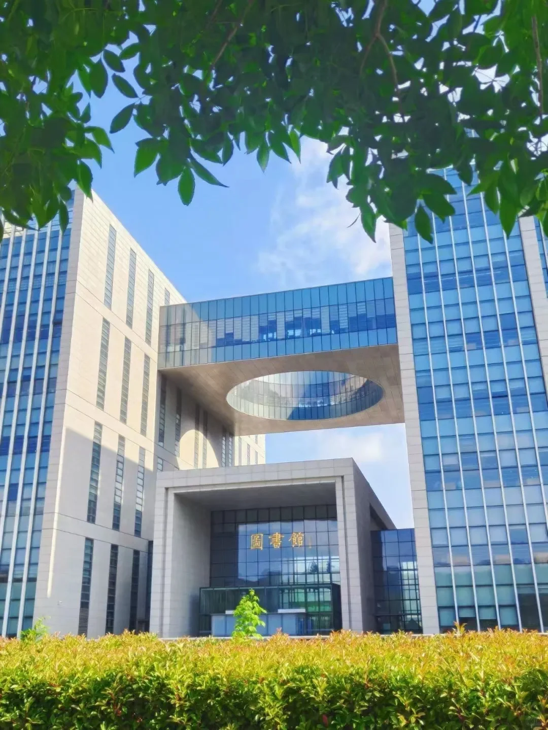 我在山东师范大学干什么呢