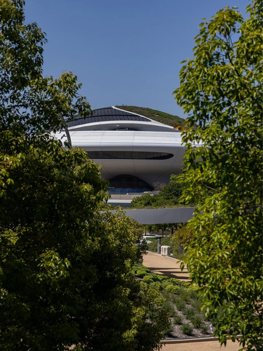 ?️马岩松卢卡斯叙事艺术博物馆即将建成