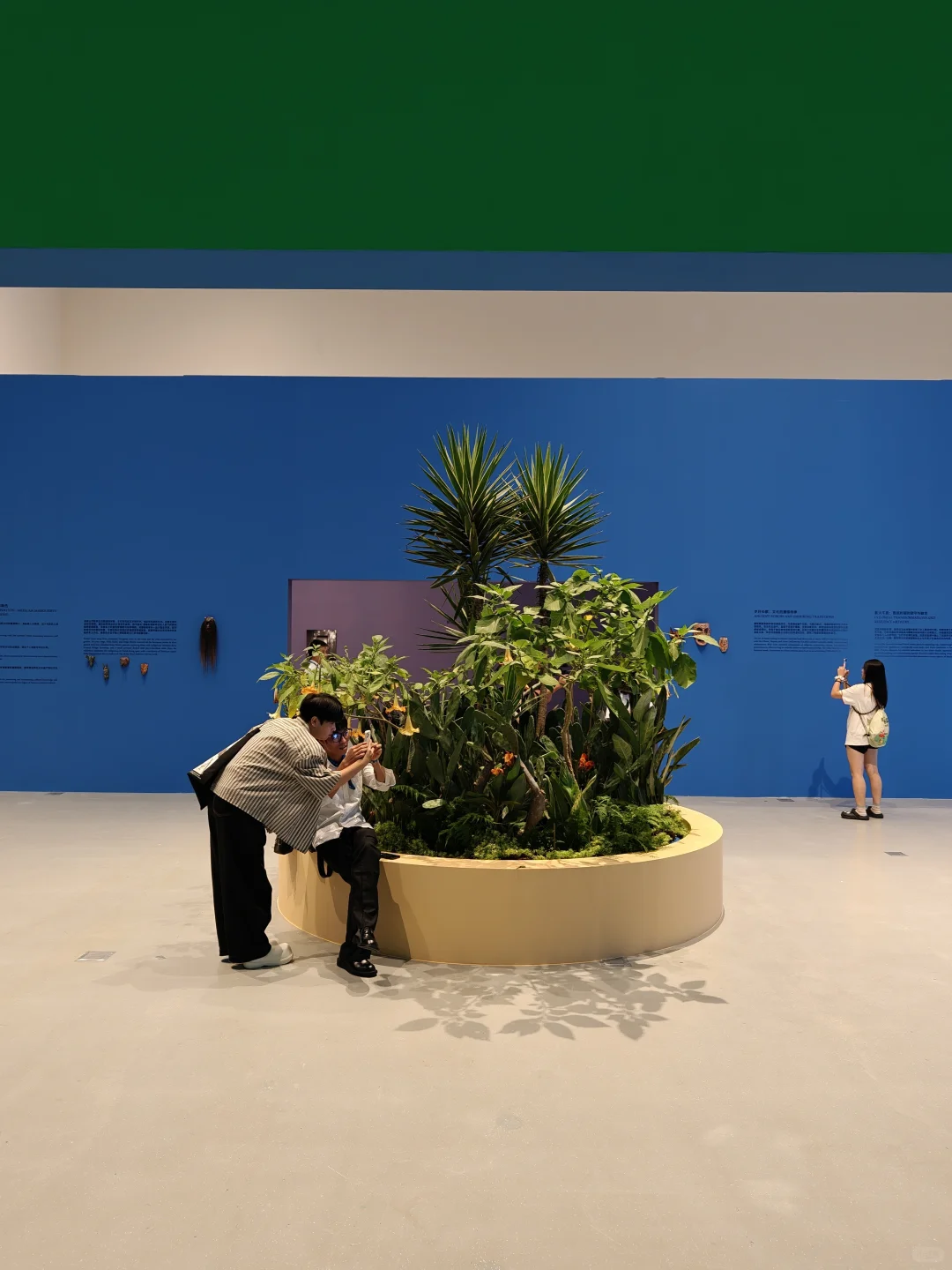 在深圳!弗里达·卡罗原作中国首展??