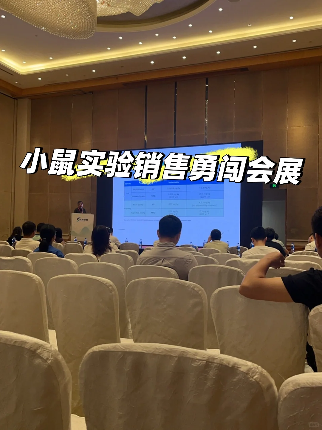 应届生勇闯杭州会展报告