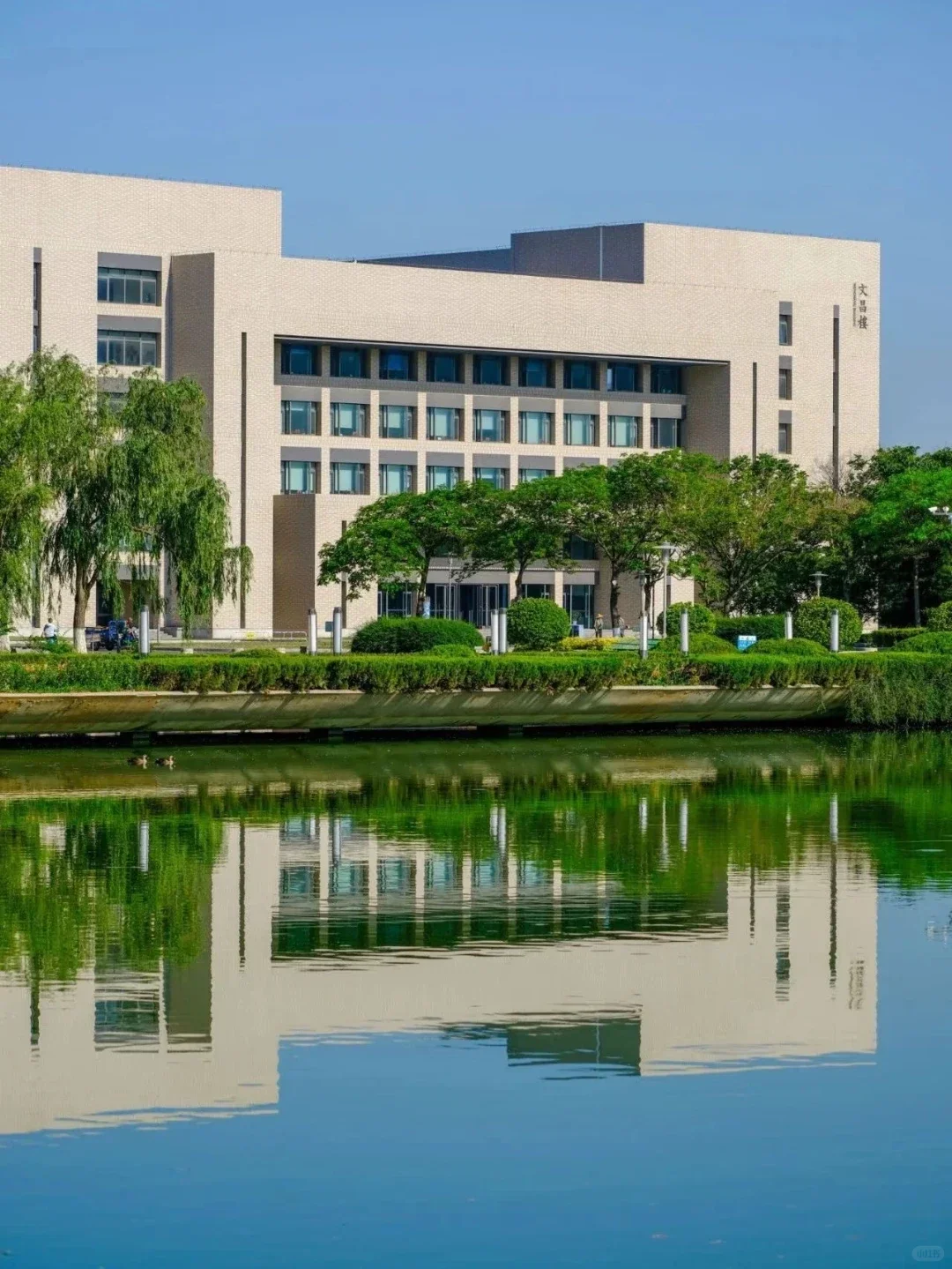 我在山东师范大学干什么呢