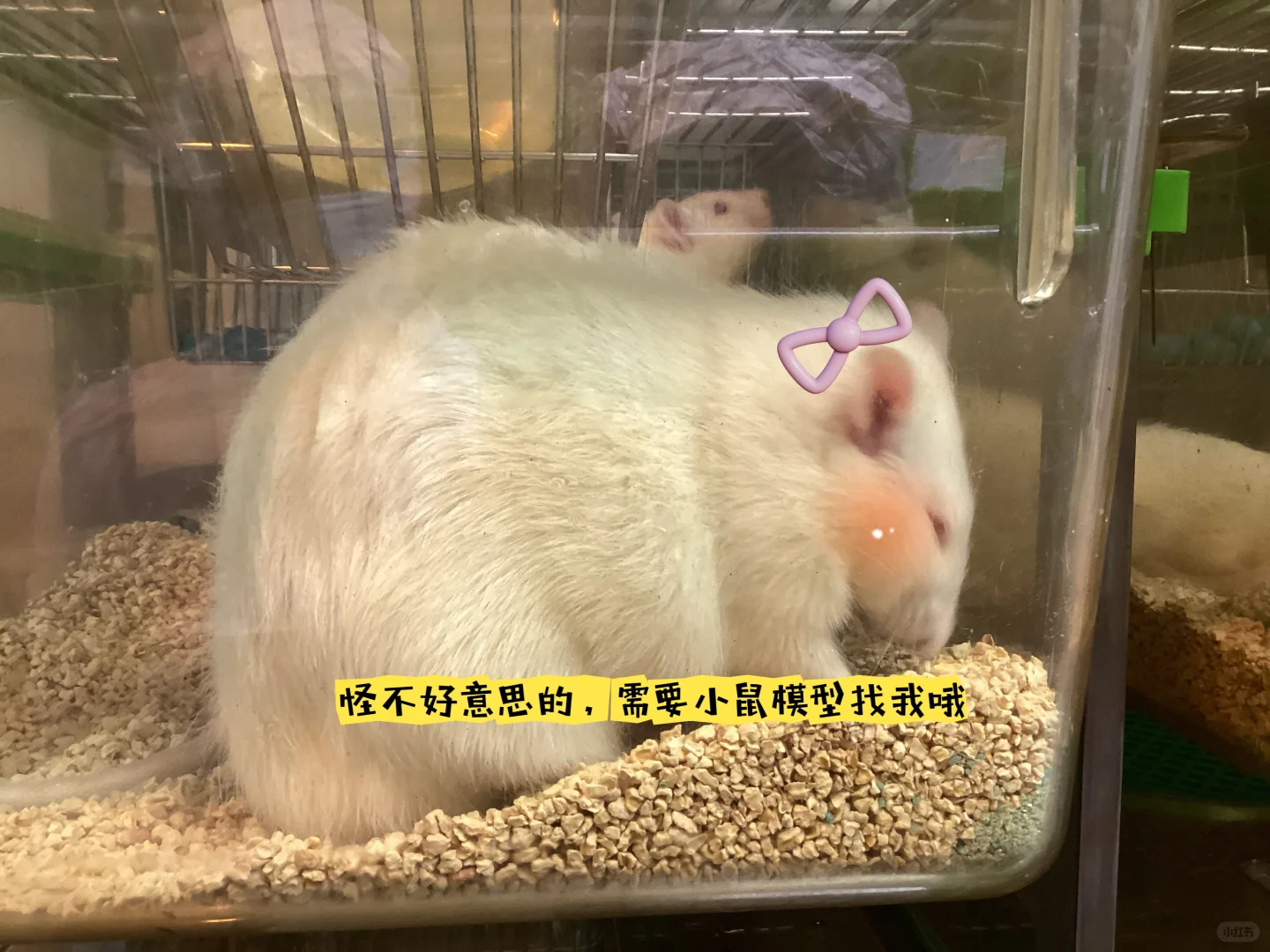 应届生勇闯杭州会展报告