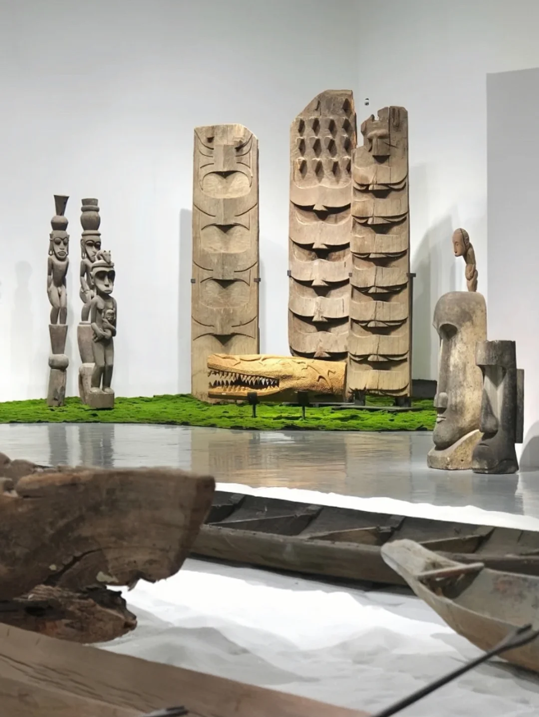 深圳看展|感受热带雨林的神秘魅力