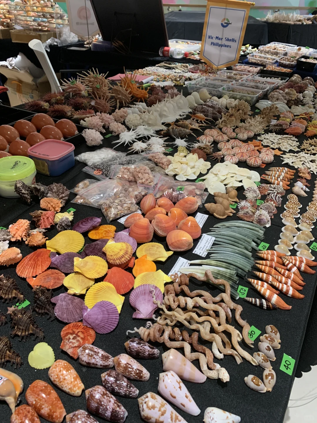 太原贝壳展,攻略来了