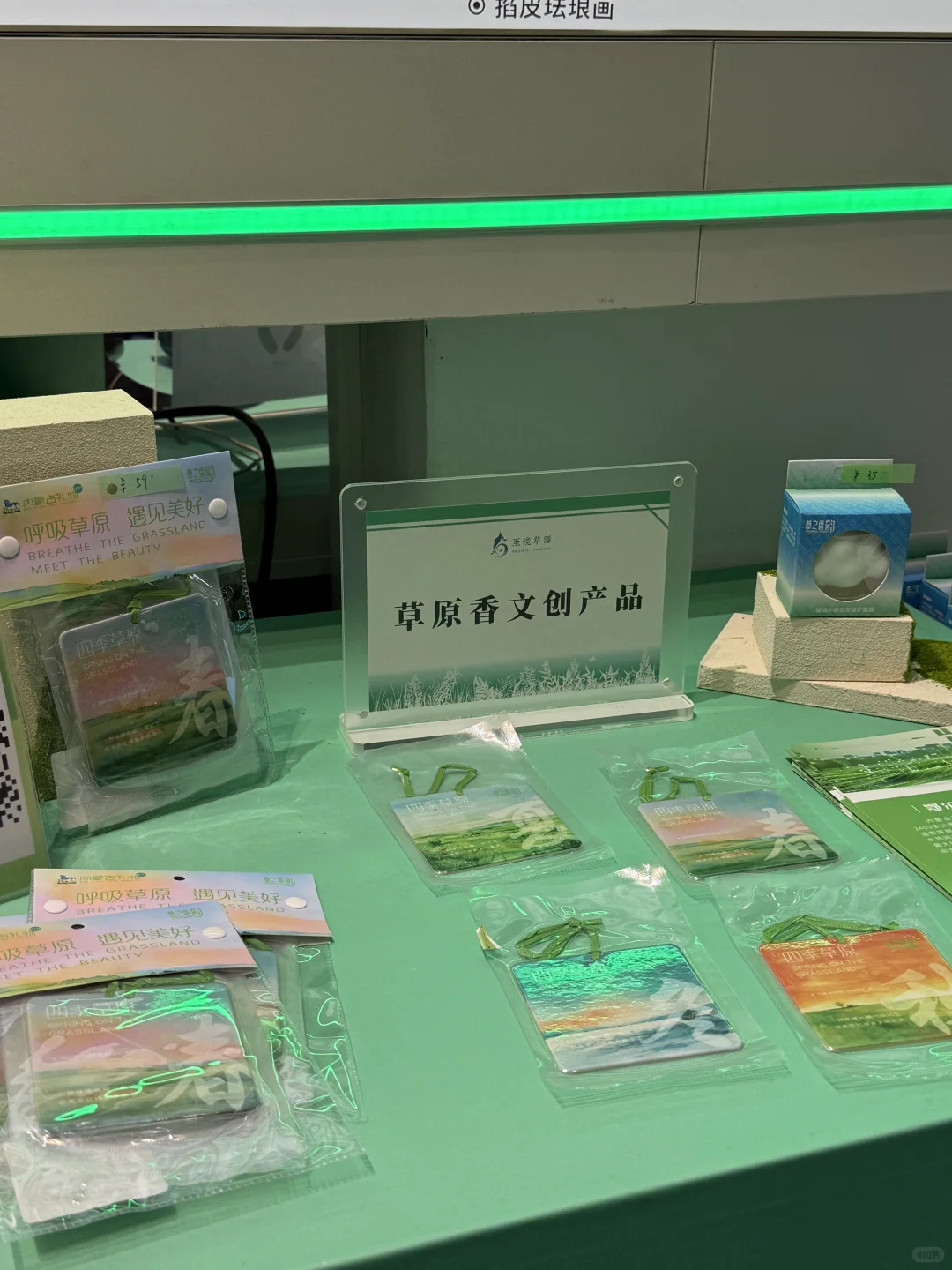 鄂尔多斯你不宣传这个展你糊涂啊！！