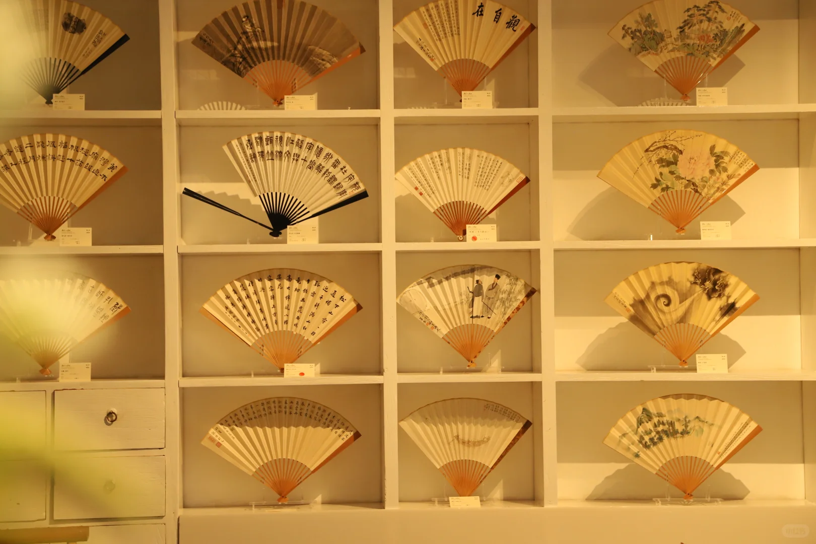 观展