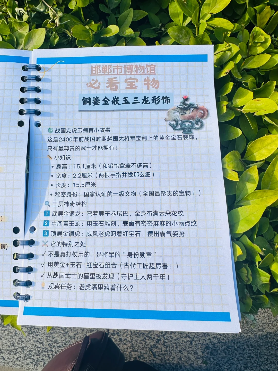 ?邯郸带娃逛博物馆神器!研学手册让娃自嗨