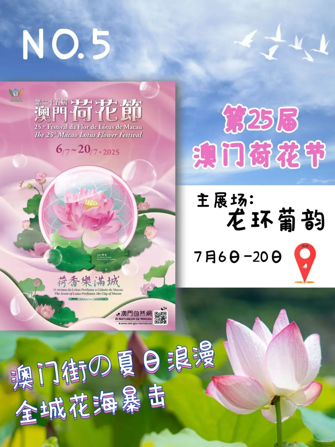 澳门7月别花钱!这7个免费展够玩整个月