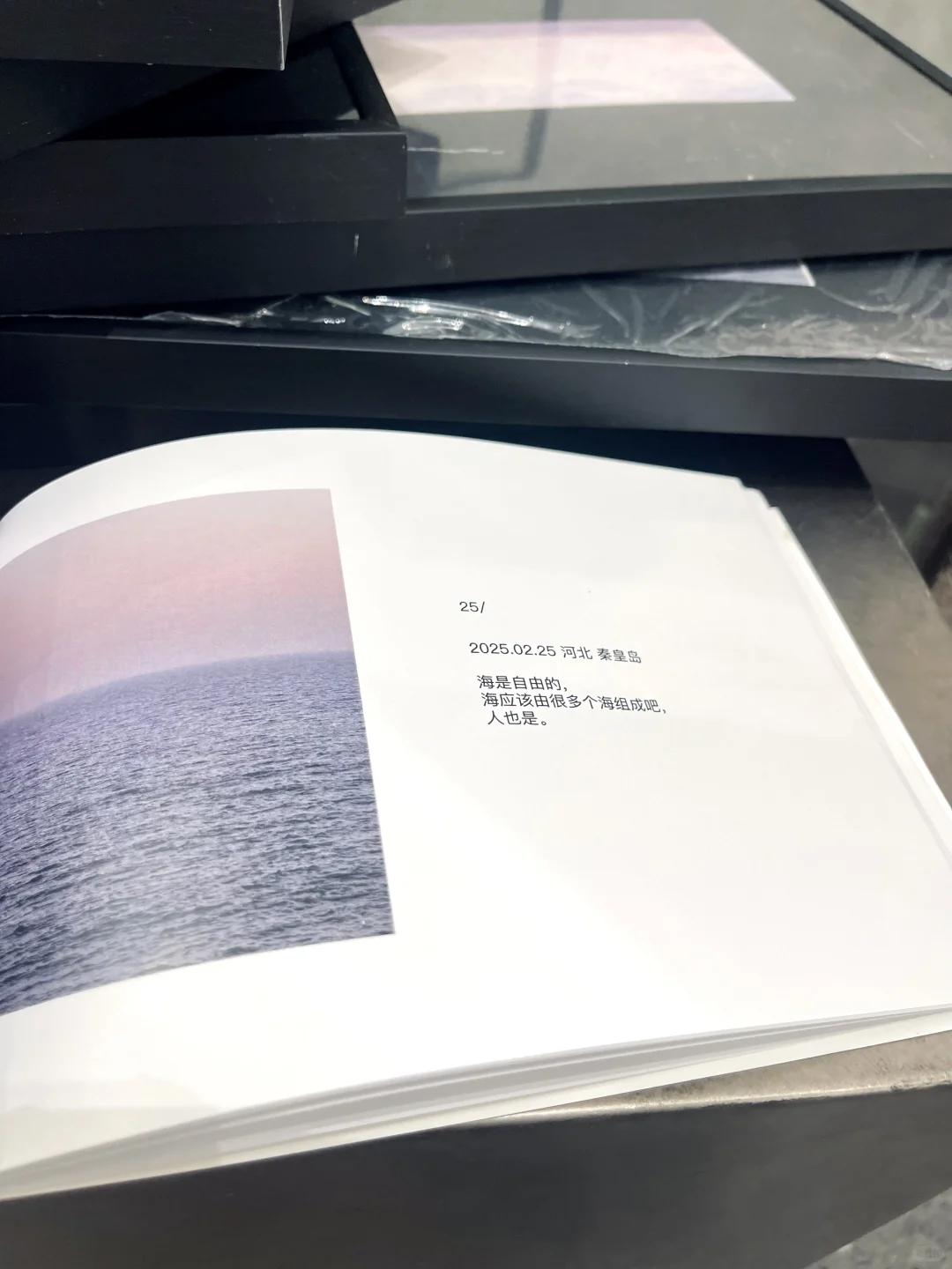 上海爆火新展?|《海风升起时》免费看‼️