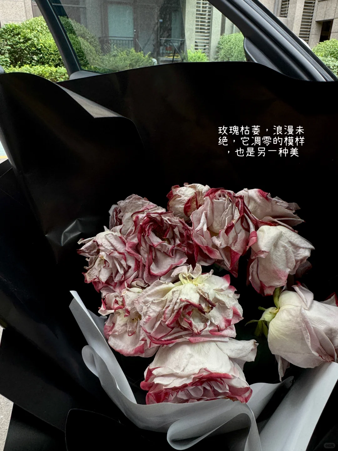 35+·已婚微寡·月薪3W+|人生没有以后