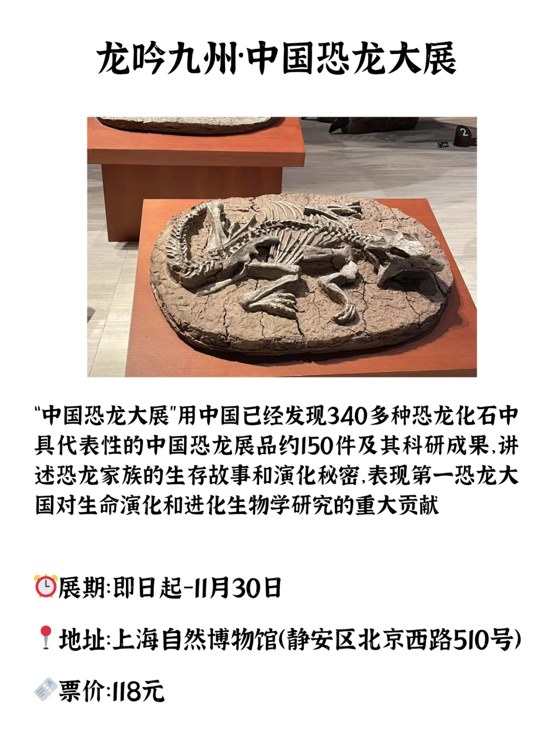 暑假来沪不能错过的10个展览！许多免费！