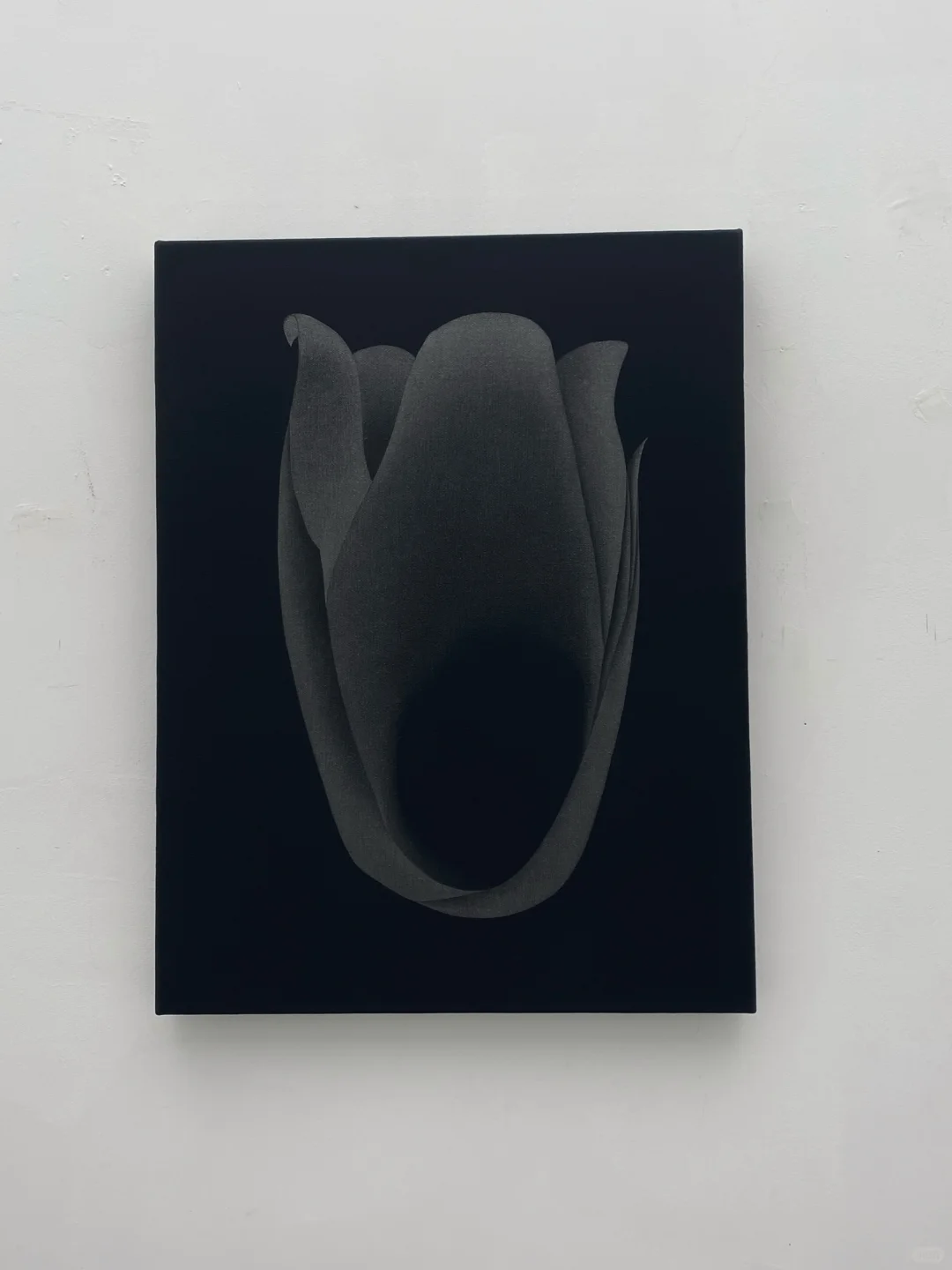 ?️ 看展随记｜在黑白之间，与艺术对
