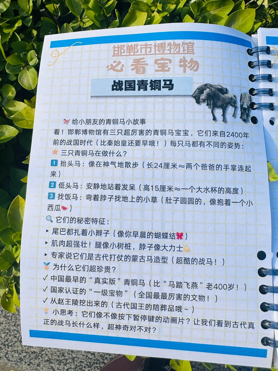 ?邯郸带娃逛博物馆神器!研学手册让娃自嗨