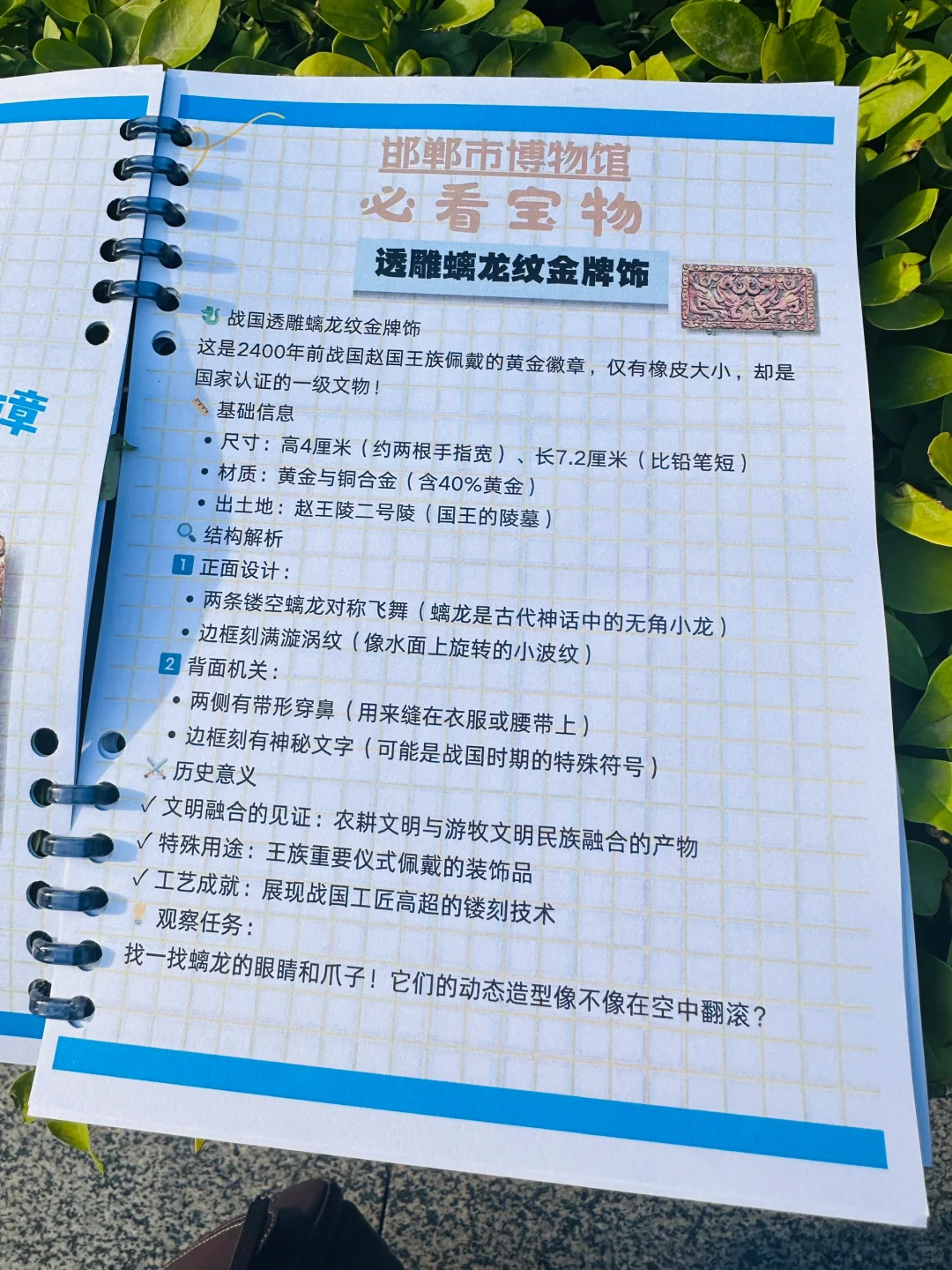 ?邯郸带娃逛博物馆神器!研学手册让娃自嗨