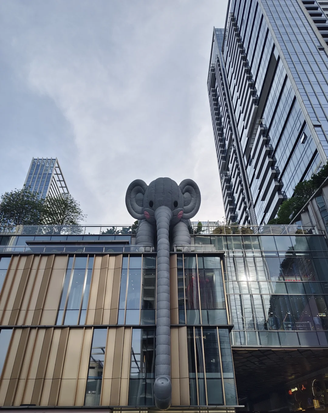 深圳巨人展?
