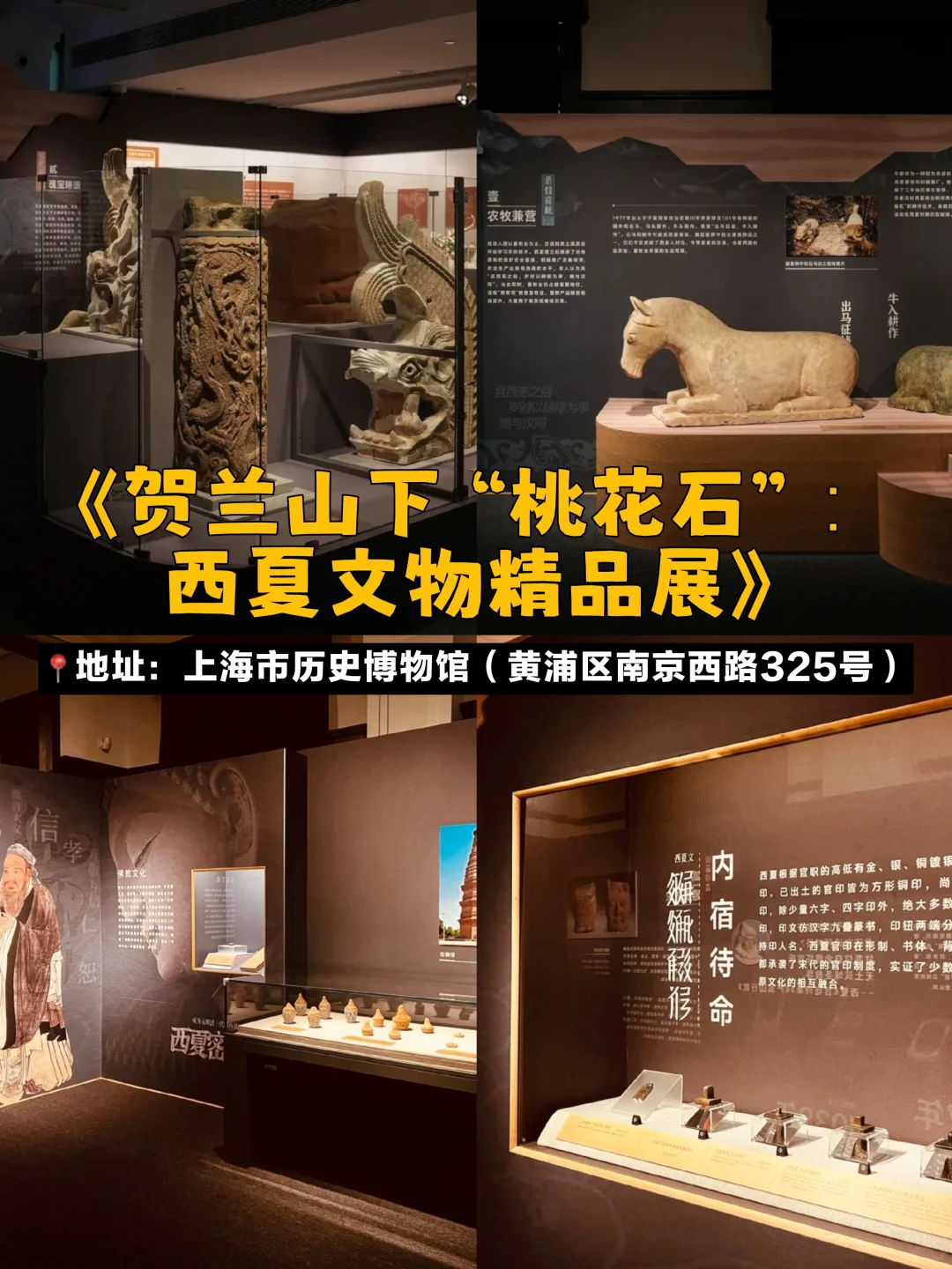 上海7月必看!10个免费展览,室内避暑!