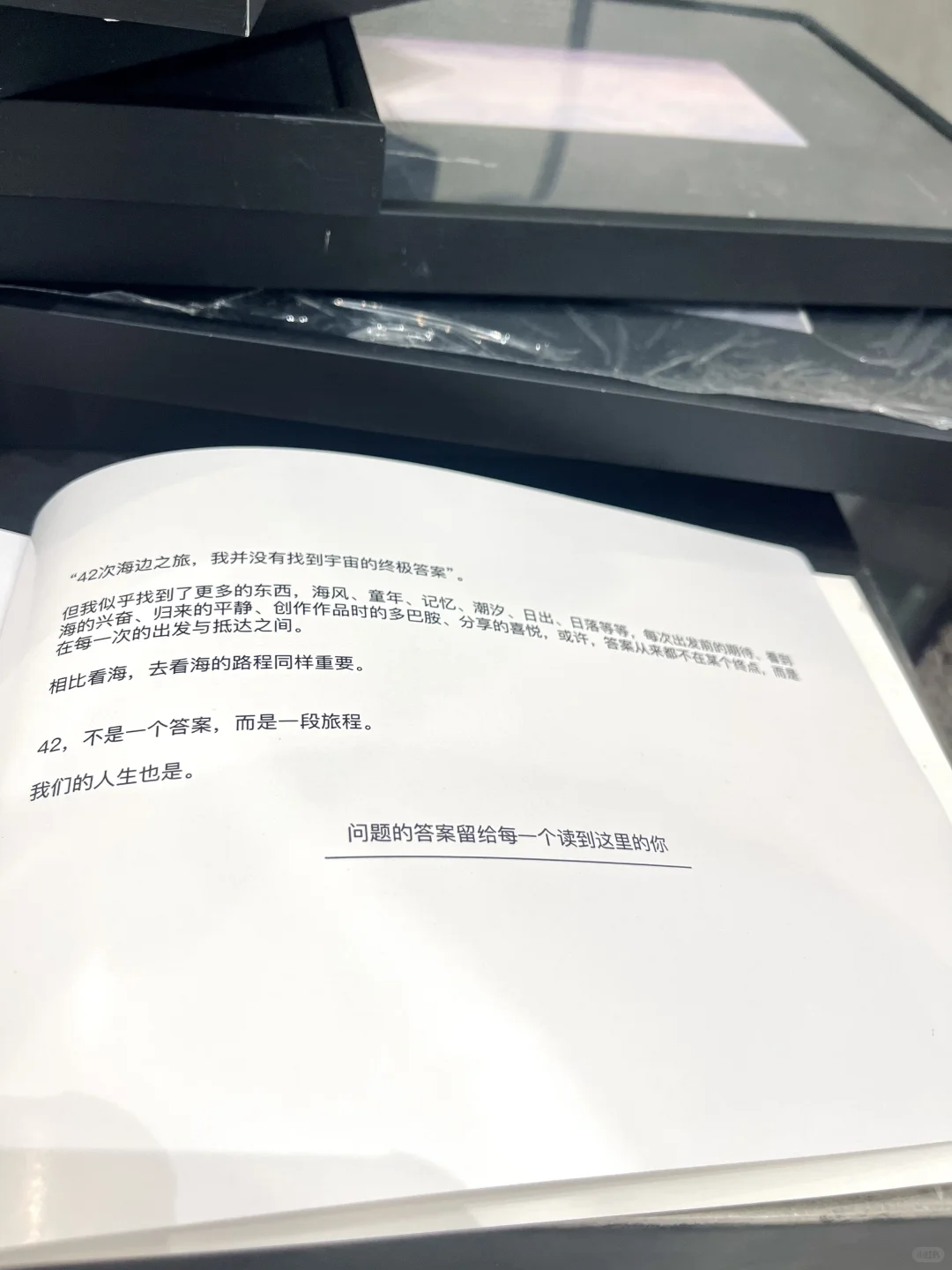 上海爆火新展?|《海风升起时》免费看‼️
