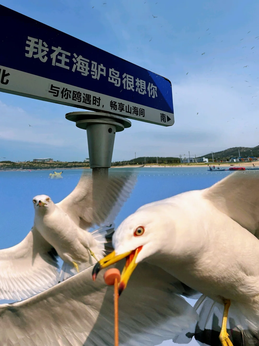 真服了。。。没人告诉我威海带什么衣服