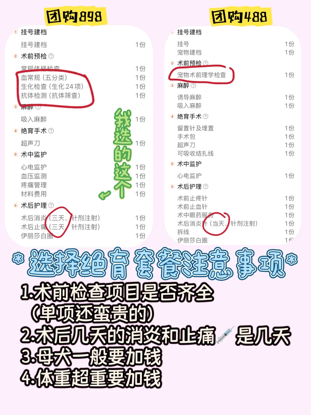 1岁4个月母犬绝育流程分享