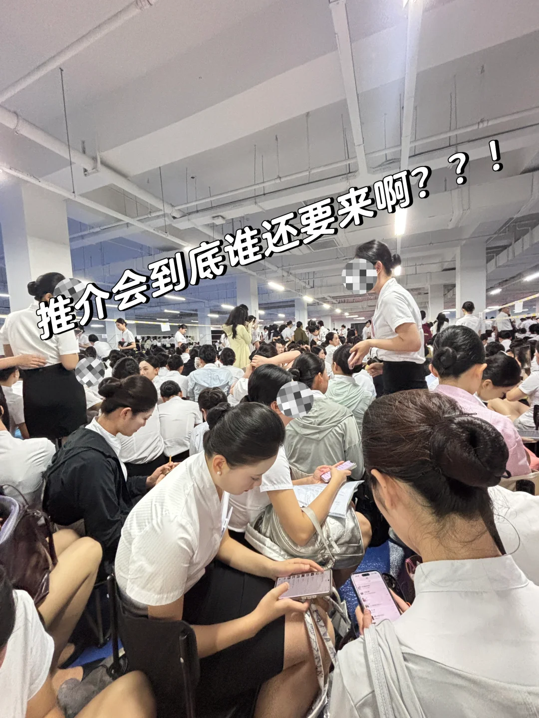 谁来？狗都不来了