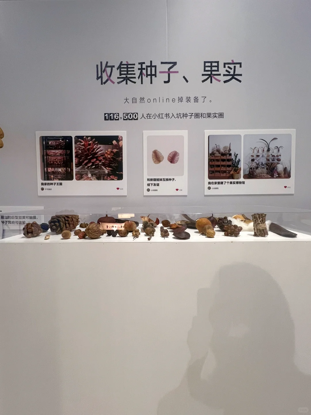 小红书展 展区不大，好玩