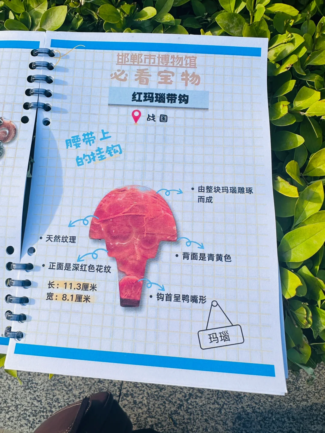 ?邯郸带娃逛博物馆神器!研学手册让娃自嗨