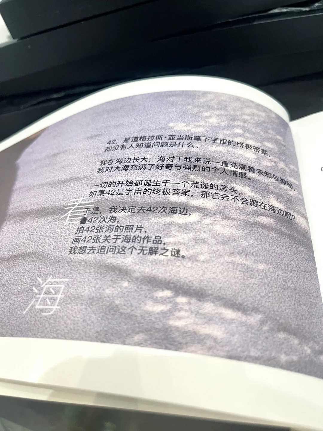 上海爆火新展?|《海风升起时》免费看‼️