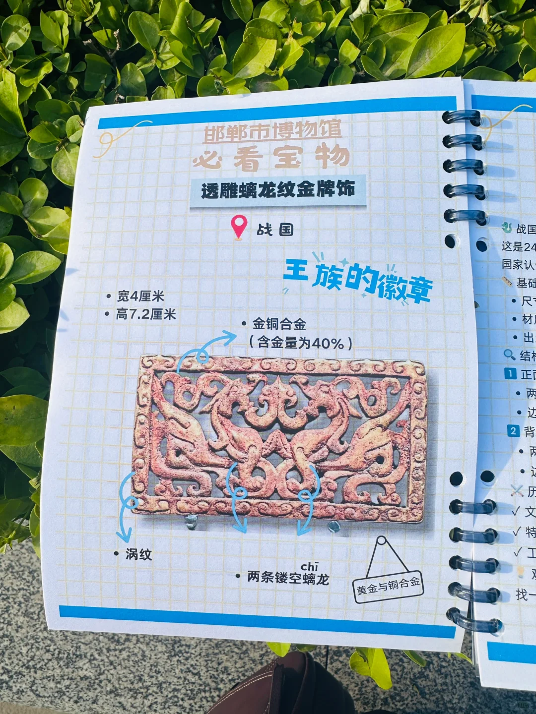 ?邯郸带娃逛博物馆神器!研学手册让娃自嗨