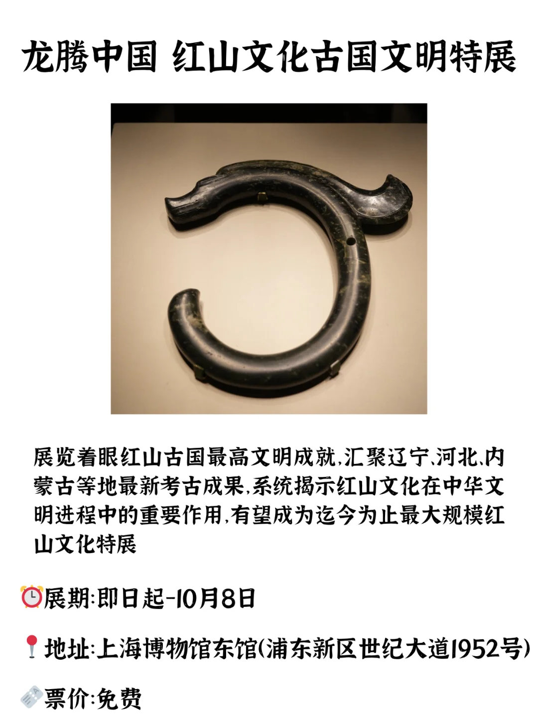 暑假来沪不能错过的10个展览！许多免费！
