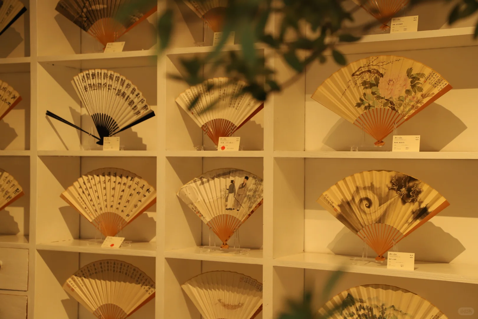 观展