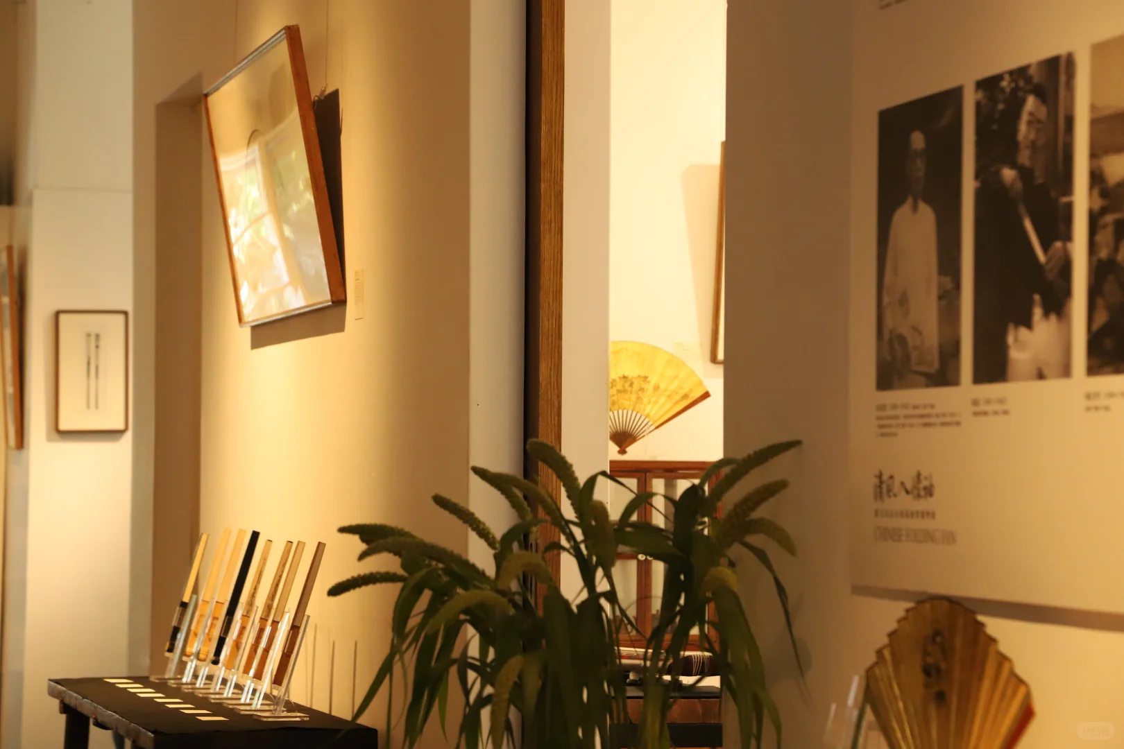 观展