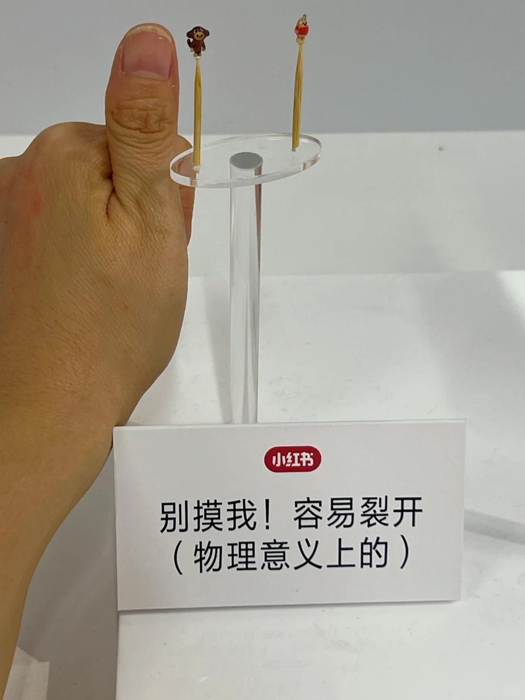 小红书展 展区不大，好玩