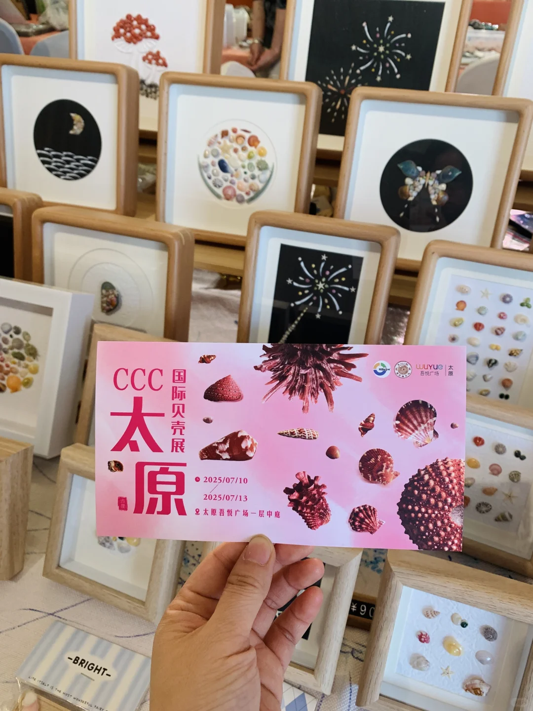 太原贝壳展,攻略来了
