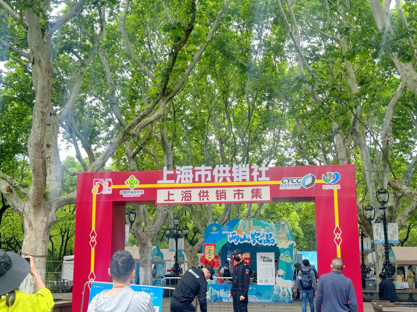 ?上海鲁迅公园惊现海岛宝藏!