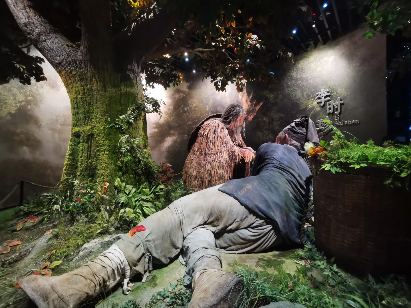 横琴中医药产业园中医药文化体验馆