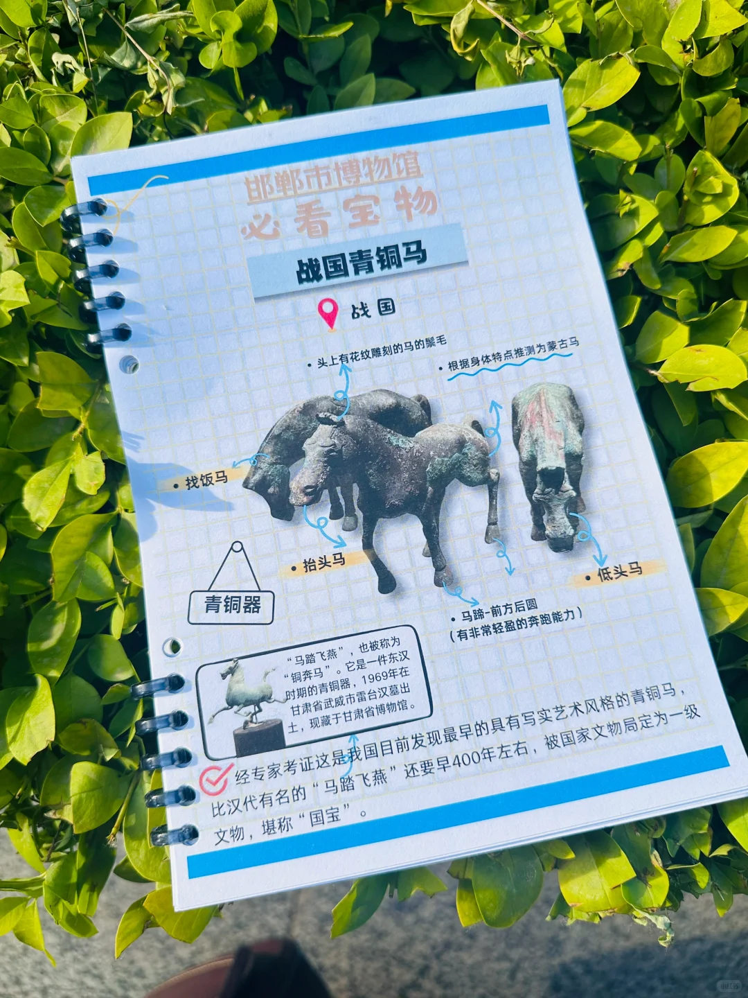 ?邯郸带娃逛博物馆神器!研学手册让娃自嗨