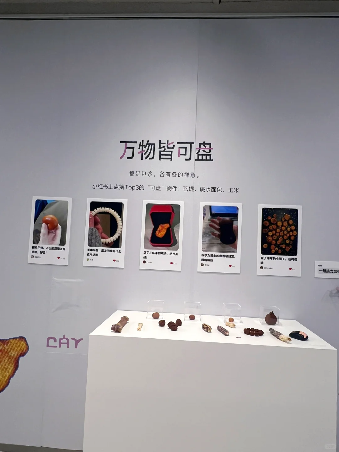 小红书展 展区不大，好玩