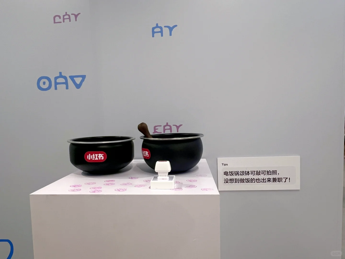 小红书展 展区不大，好玩