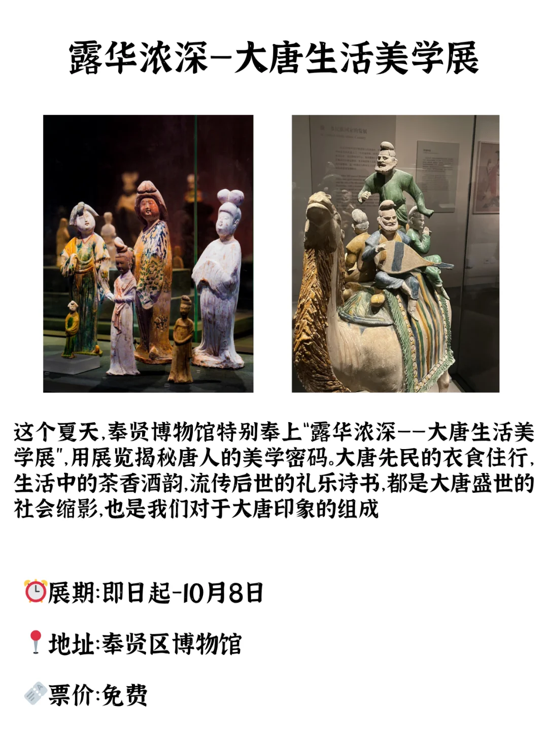 暑假来沪不能错过的10个展览！许多免费！
