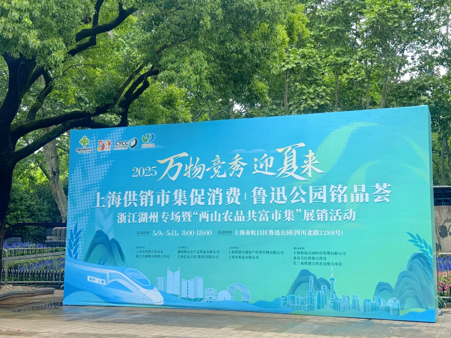 ?上海鲁迅公园惊现海岛宝藏!