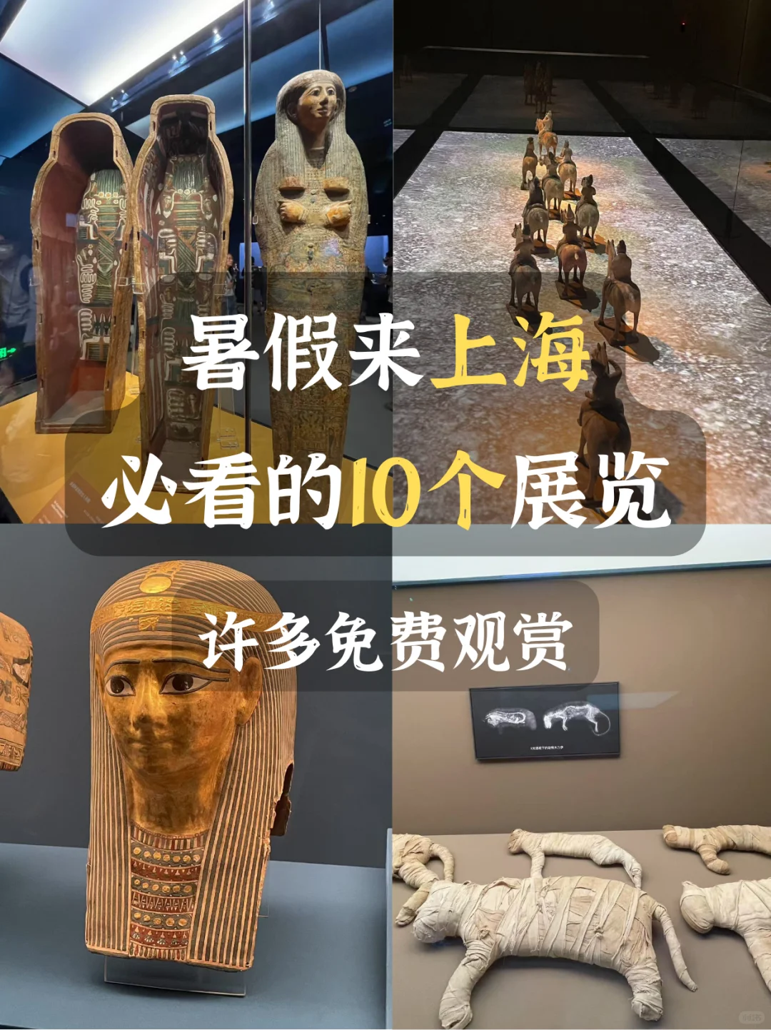 暑假来沪不能错过的10个展览！许多免费！