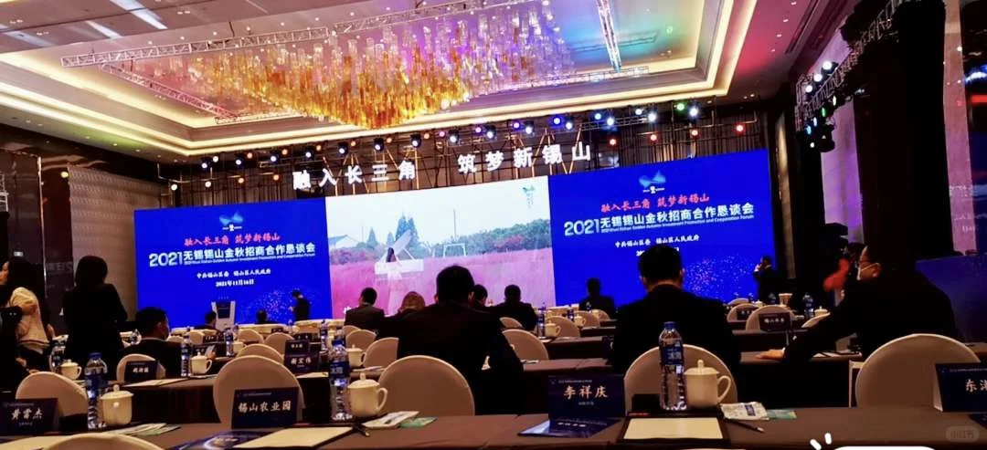 长三角政府组织的招商会就是不一样，接地气
